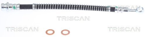 Bremsschlauch TRISCAN 8150 43181