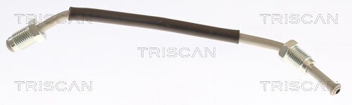 Bremsschlauch TRISCAN 8150 432019