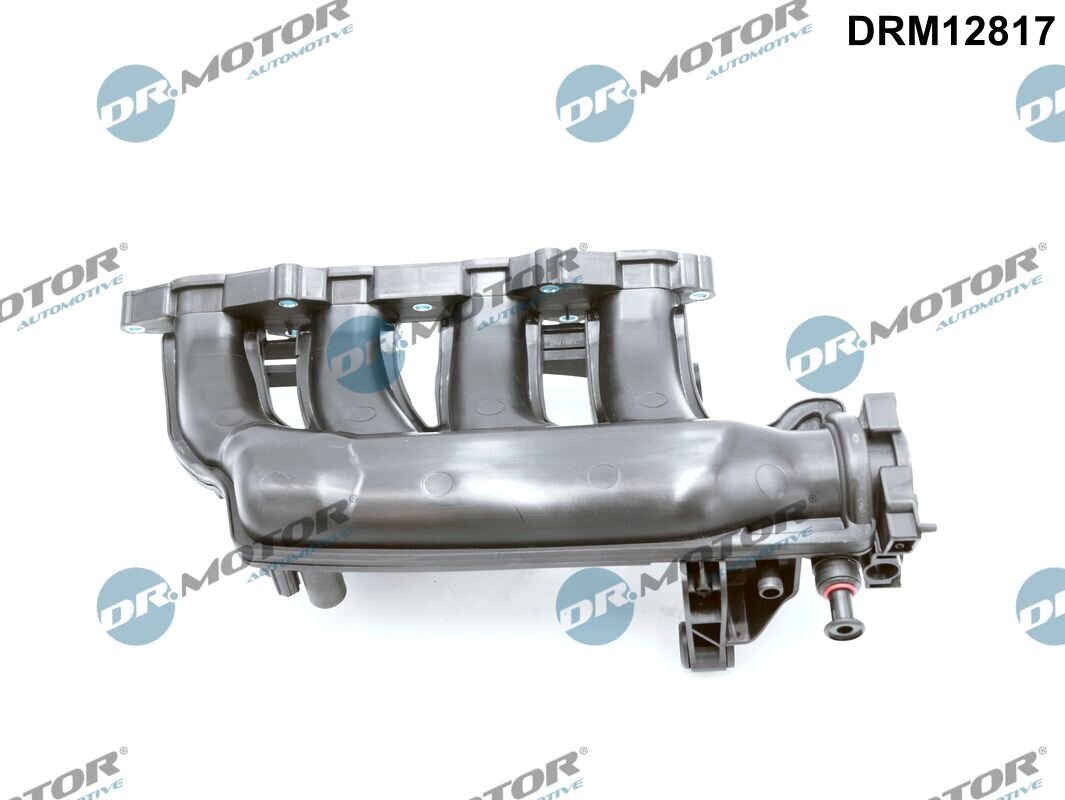 Saugrohrmodul Dr.Motor Automotive DRM12817